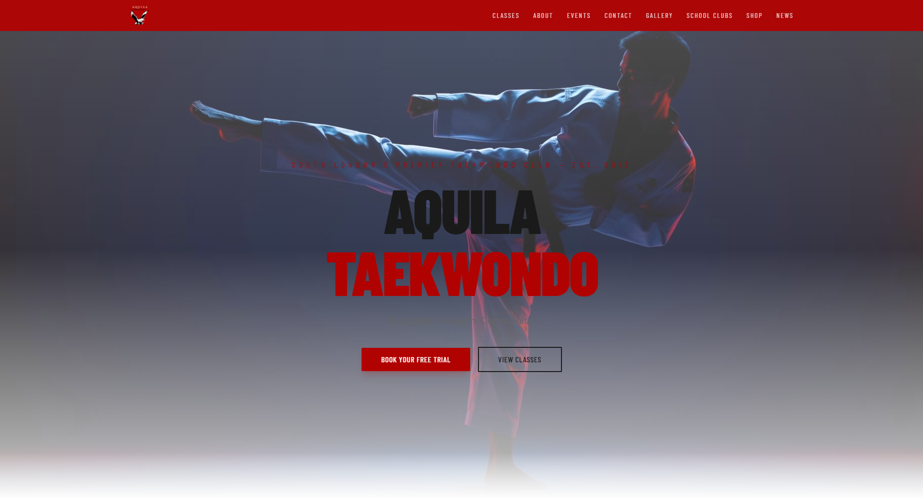 Aquila Taekwondo