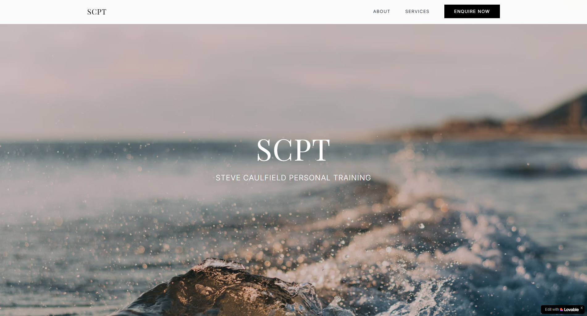 Screenshot of scpt-holistichealth.lovable.app project